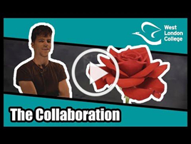 VMI The Collaboration