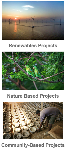 Vote for VMI carbon-neutral offset scheme