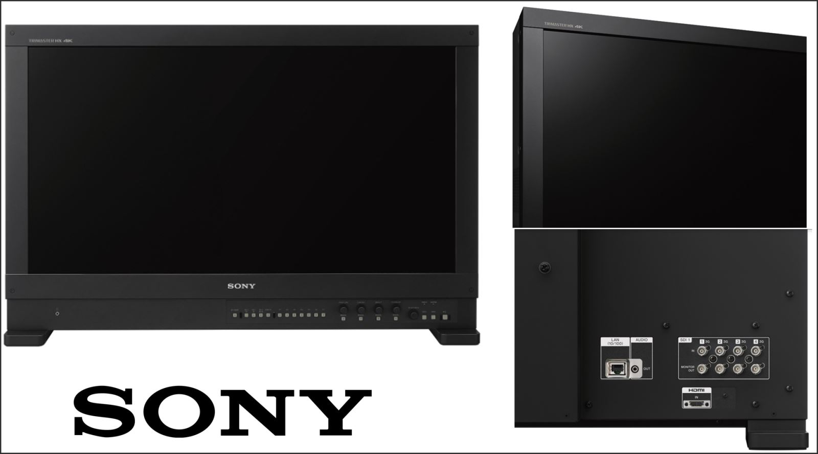 SONY BVM-HX3110