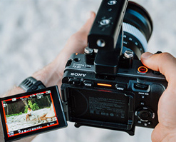 Sony FX30