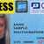 Press Cards